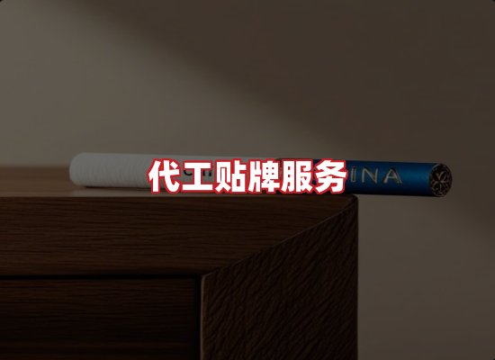 专业团队